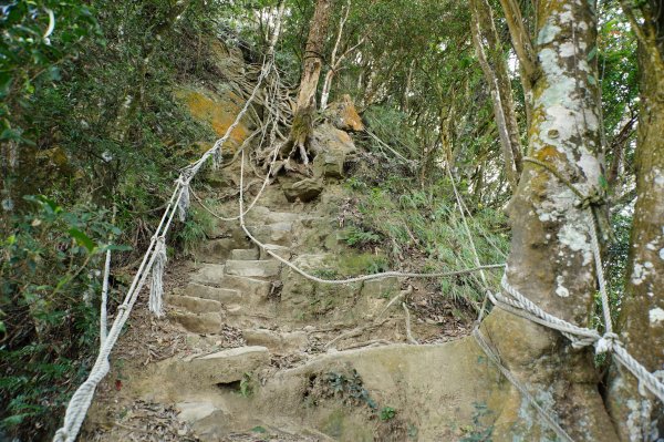 苗栗 獅潭 仙山、大窩山2984282