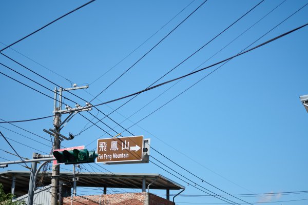 飛鳳山步道 (代勸堂上竹林路下)1886059