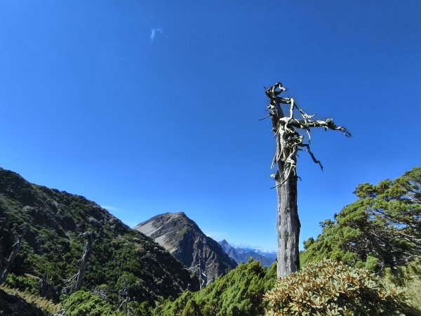 北一段(11/14)南湖北峰 2025_0906~132887316