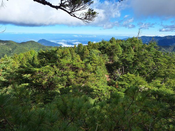 觀霧之榛山O型202411232653919