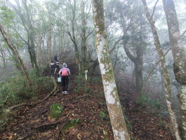 2025.07.05－高島縱走2828194