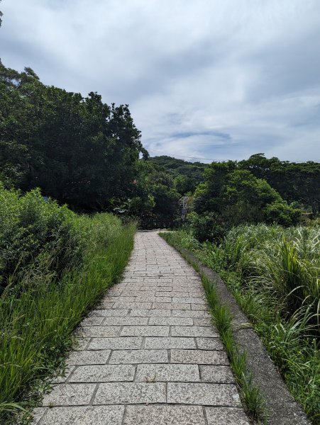 2023-08-26 臺北大縱走第七段2792855