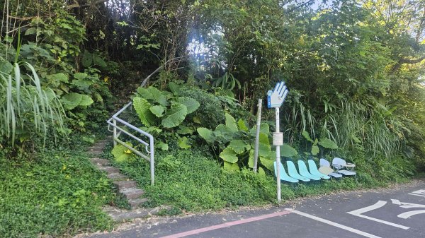 20251003高麗坑山-新高麗坑山-高麗坑山西北峰2903119