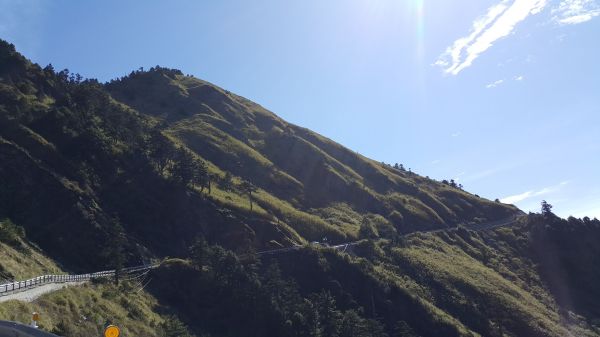 合歡尖山步道 2017 05 10126524