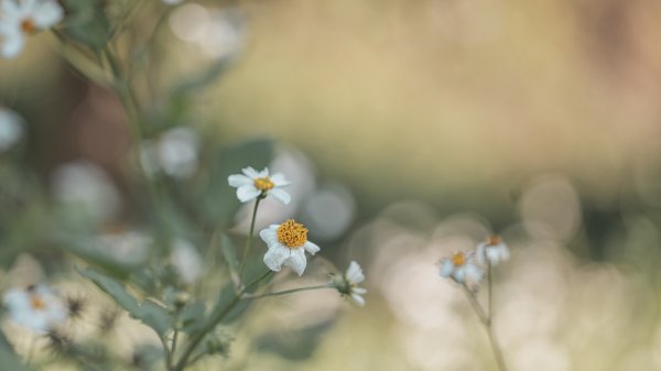 寶山水庫環湖步道（西北、西、東峰）2986764