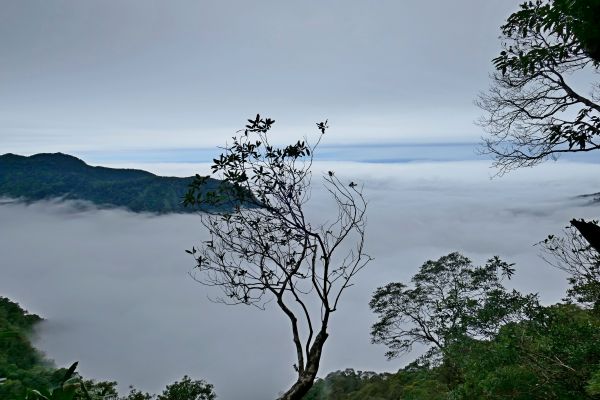 再訪上島山〈鳥嘴山〉 2017/11/25   212844