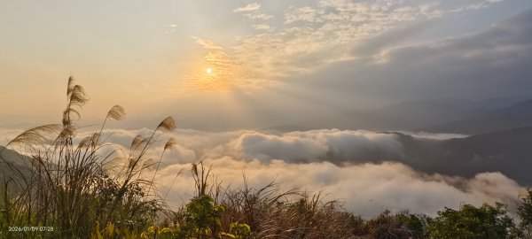 #翡翠水庫壩頂 #雲海 #日出 #陽明公園 #夕陽1/92979371