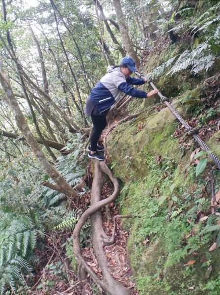 平溪中央尖登山步道303377