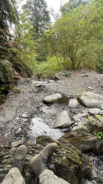 四季林道加羅山檜木池3044571