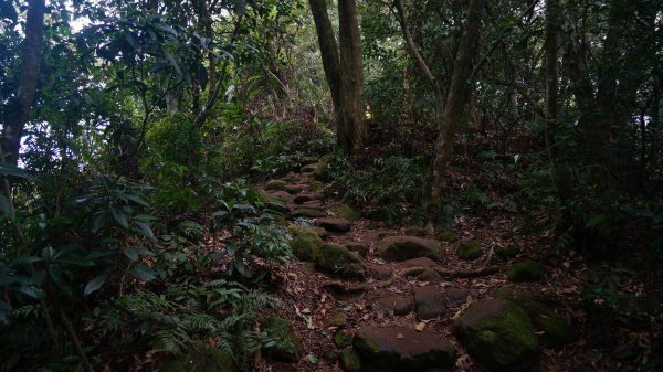 溪洲山 新溪洲山 石門水庫連走1304259