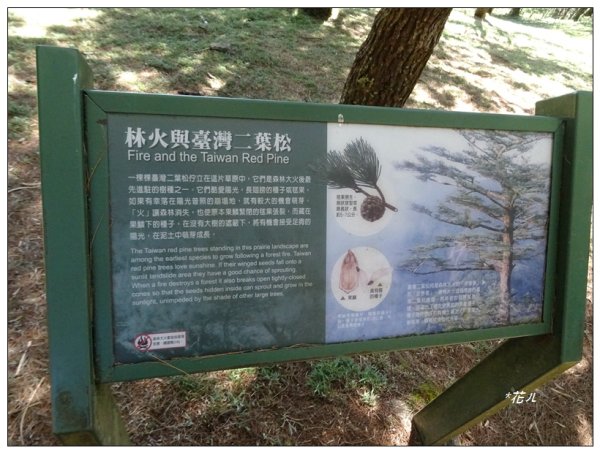 麟趾山步道2397302