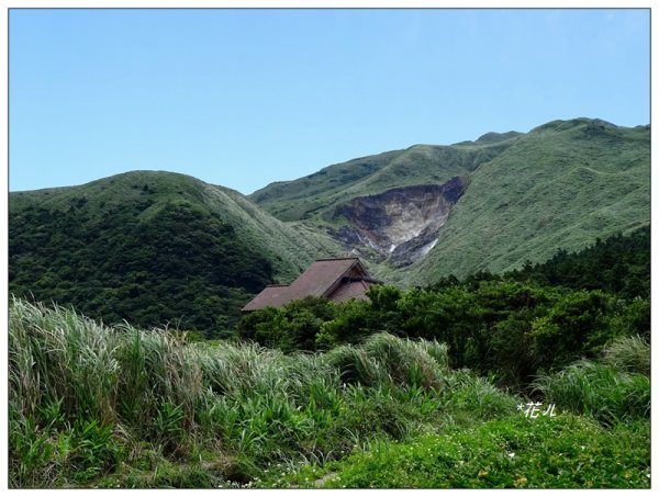 竹子湖/頂湖環狀步道986700