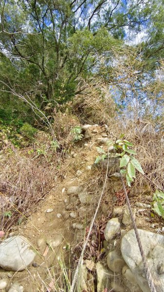 石苓湖山（頭嵙南峰）/黑山/黑山北峰/頭嵙山1585844