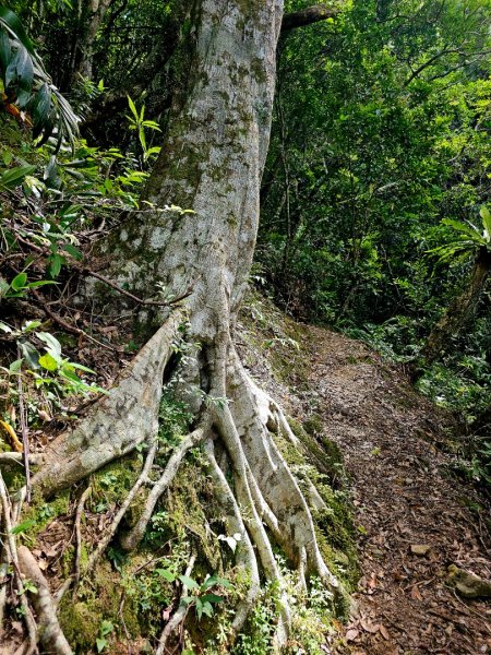 淡蘭南路第四段：𩻸魚堀溪自行車道至縣界公園2873645