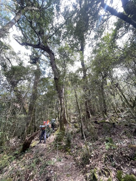 石山秀湖 2025 02/28 三天兩夜2865954