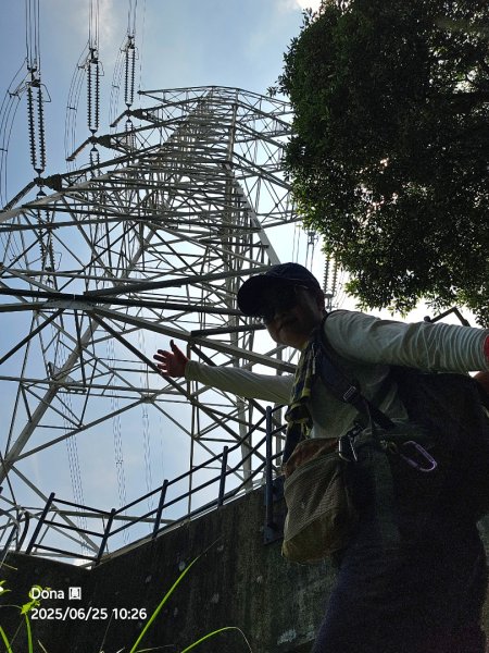 大溪大九芎步道上小百岳溪洲山(H577m)2844305