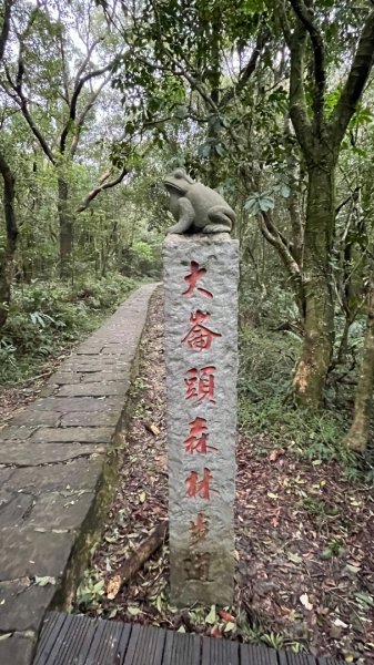 小百岳_大崙頭山2959963