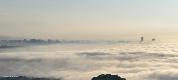 #觀音山 #雲海 #夕陽 #天空之城 #大赤鼯鼠（飛鼠） 2/132999438