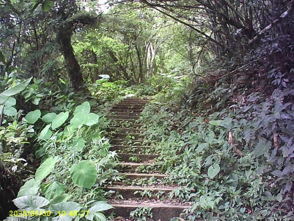 內灣南坪古道、馬胎古道及內灣O繞，順道拜訪位移總督府交通局遞信部基石。3067402