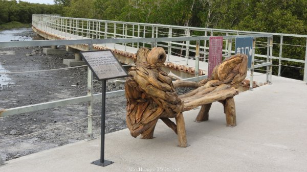 《彰化》海空夕照｜王功燈塔及芳苑海空步道健行賞冬候鳥202601102980324