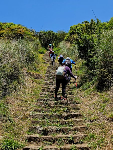 2025年臺北大縱走第二段： 二子坪至小油坑2763785