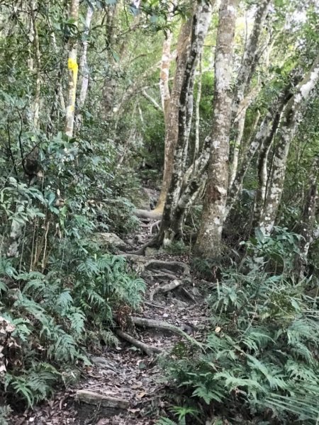 水雲三星之鳥嘴山512250