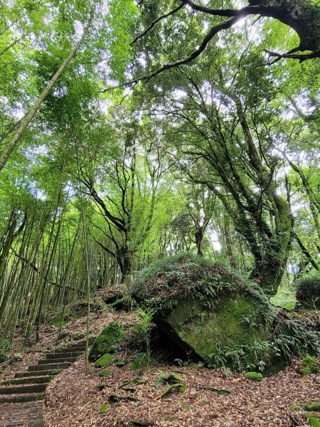 大凍山步道2235073