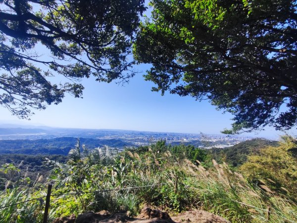 龜山福源山-牛灶坑山-鶯歌火車站走春遊2701319