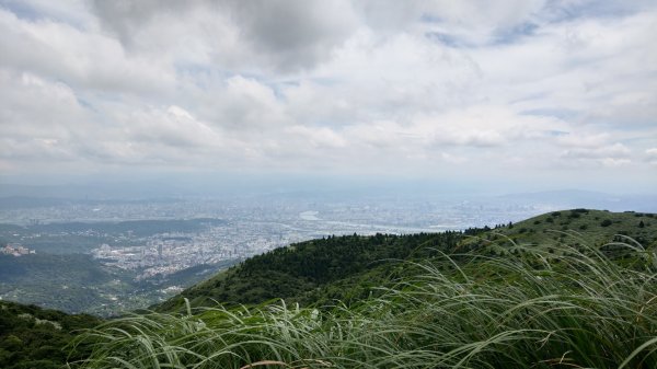 大屯山主峰1005954