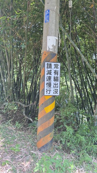 20250517鳶山2791953