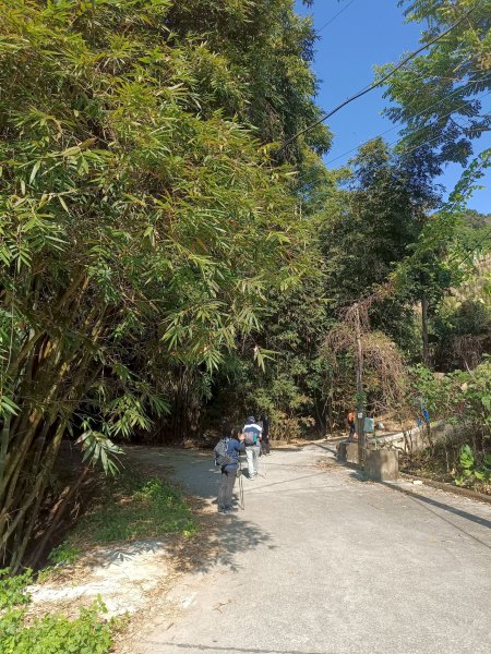 穿霧隘勇線-中三鹿2991736