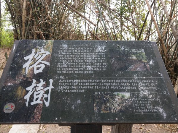 知高圳步道、雪蓮步道、學田山895233