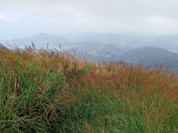 擎天崗→磺嘴山生態保護區→磺嘴山 H912m→翠翠谷→榮潤古道→內雙溪古道→擎天崗環形步道1489262