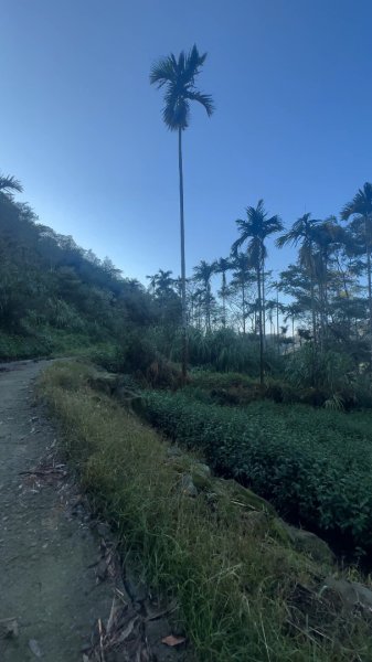 小百岳-057嘉義梅山-梨子腳山-太平雲梯2607194