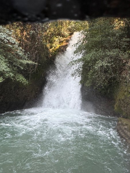 能高瀑布 福興山尋血藤3022541