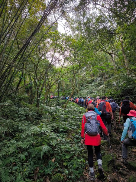 2026-01-25 龍潭小粗坑古道上石門山2994123