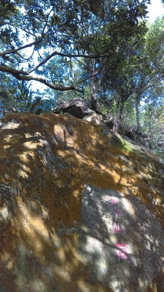 【臺北大縱走 6】象山拇指山南港山九五峰918403