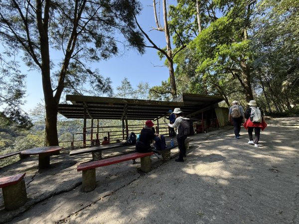 2025/03/21 聖母山莊 抹茶山 三角崙山2935083