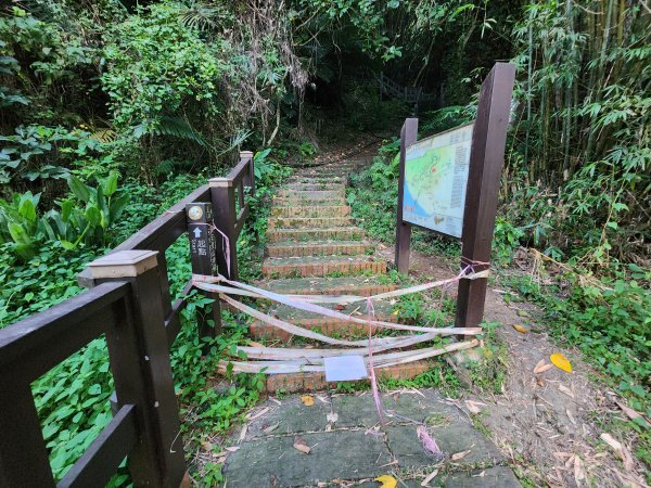 20240721泰安登山步道登七塊山2599939