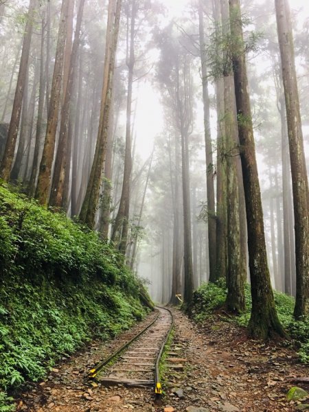 涼爽的特富野古道623851