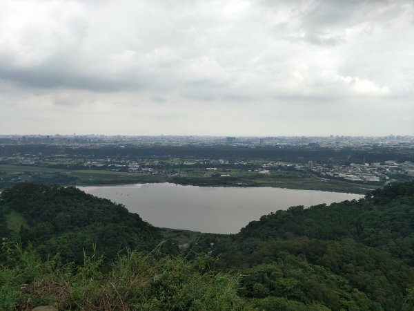 2019 06 27 鳶山登山步道618798