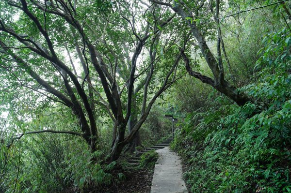 基隆 仁愛 紅淡山、金交椅山2714976