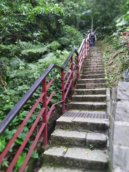 城市裡就能感受山林綠意~象山親山步道778674