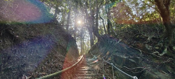2026/03/18 加里山+大坪山 O型3020004