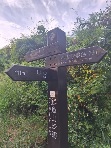 台東鯉魚山11508083115838