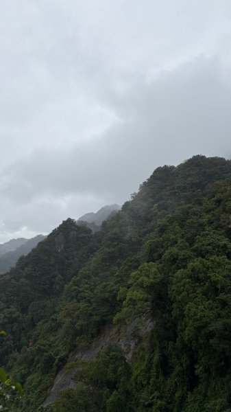 迎新（2026元旦2975619