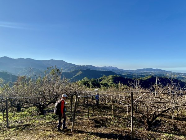 東勢卓蘭基石巡禮（大堀底.三叉坑山.穿龍.大湖桶山.內灣東.大坪頂山.大忿山.大茅坪山）1933601