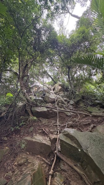 大雨後🙄2845394