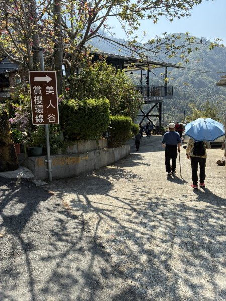 20260322[公車]石壁山&嘉南雲峰3019911