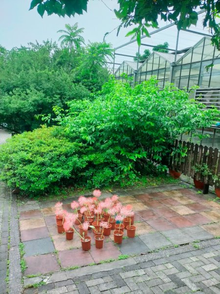 內雙溪自然中心步道(台北小溪頭2812128